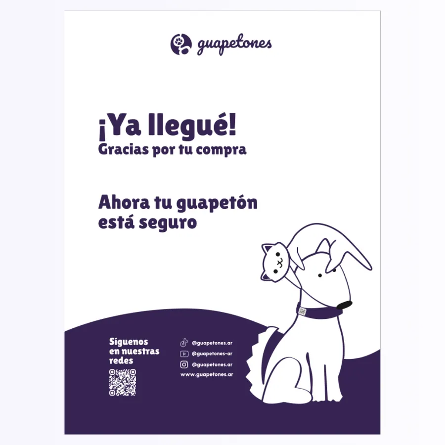 Bolsas Ecommerce