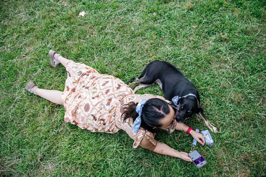 Perro en el parque con collar Guapetones y la GuapeApp